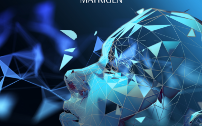 Bőrregenerálás mesterfokon télen